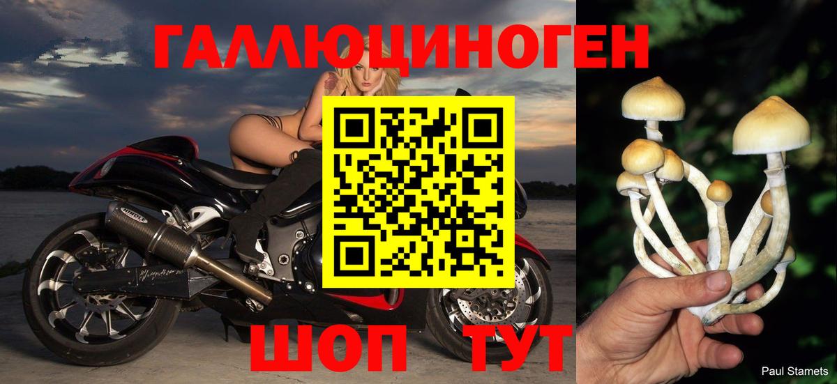 Псилоцибиновые грибы Psilocybine cubensis Мытищи