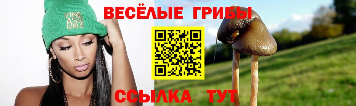 Галлюциногенные грибы мухоморы  Вход с VPN  Мытищи 